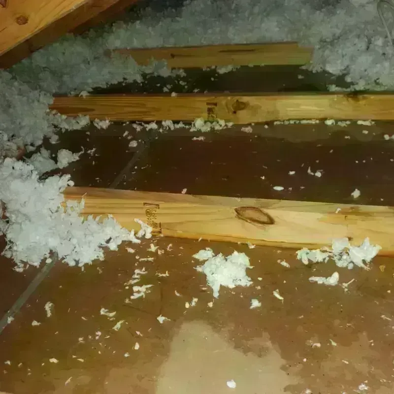 Attic Water Damage in North Atlanta, GA