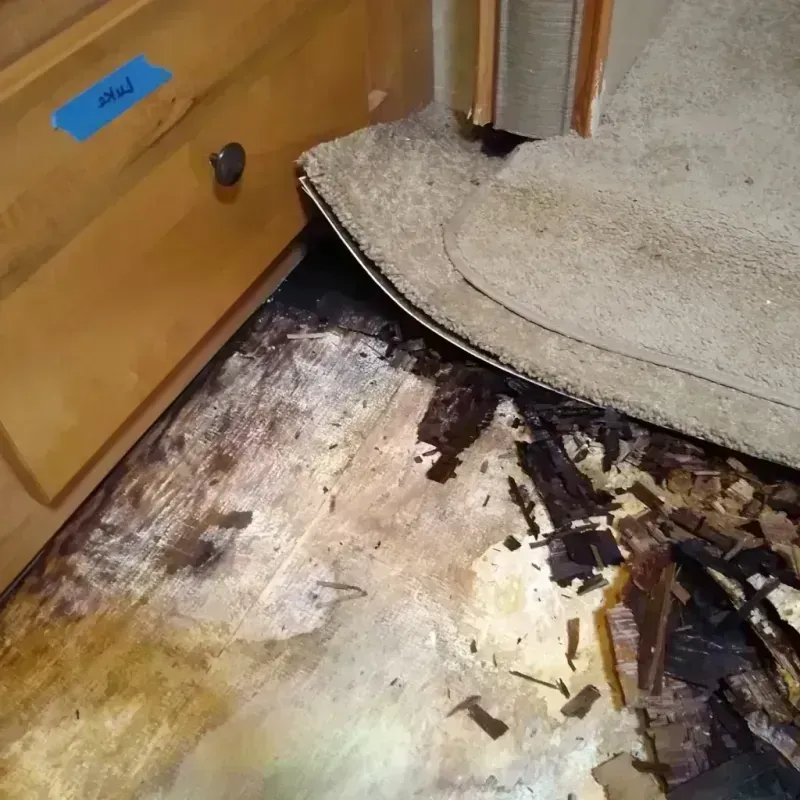 Wood Floor Water Damage in North Atlanta, GA